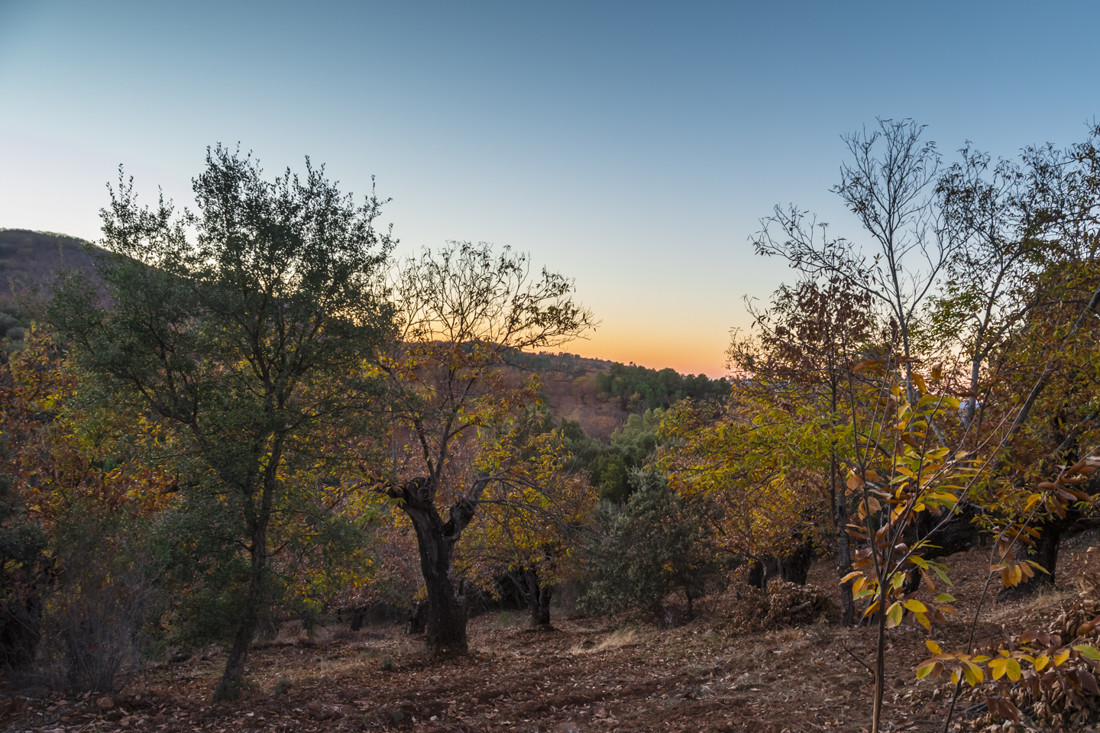 antonio lopez RODRIGUEZ - antonio lopez-concurso noviembre oto&ntilde;o