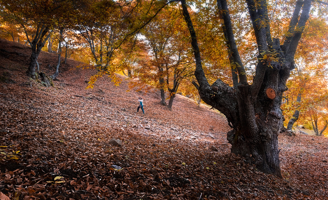 ARTURO MONTES DE FORNELL - Genal1_ConcursoSociosOto&ntilde;o