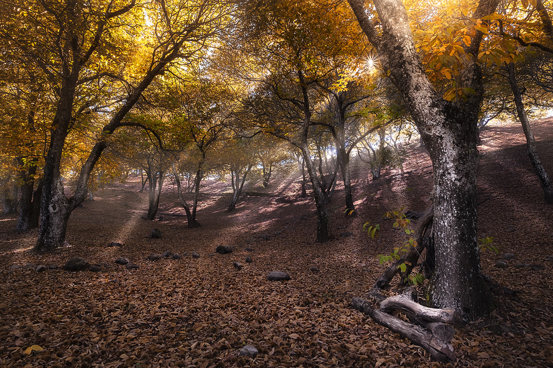 ARTURO MONTES DE FORNELL - Valle2_ConcursoSociosOTO&Ntilde;O