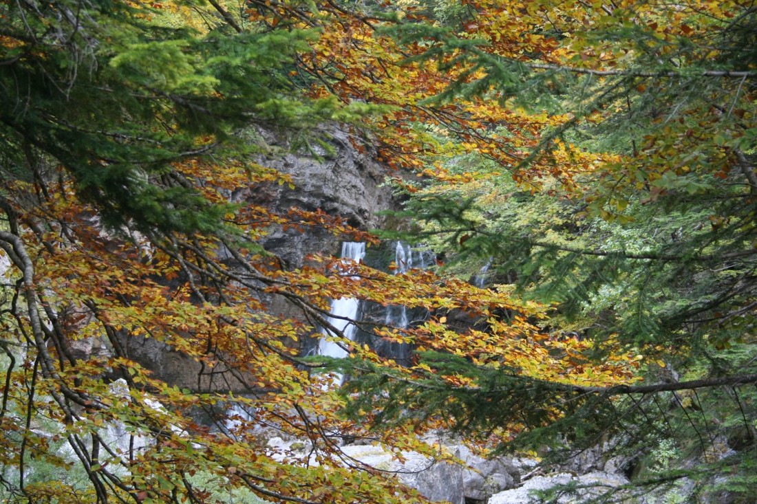 Gines P&eacute;rez Soriano - concurso no viembre Ordesa