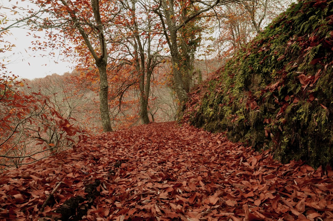 jose  diaz marin - #concursonoviembreoto&ntilde;o