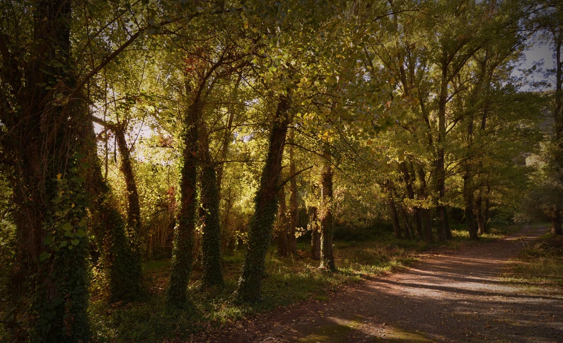 jose  diaz marin - #concursonovienbreoto&ntilde;o