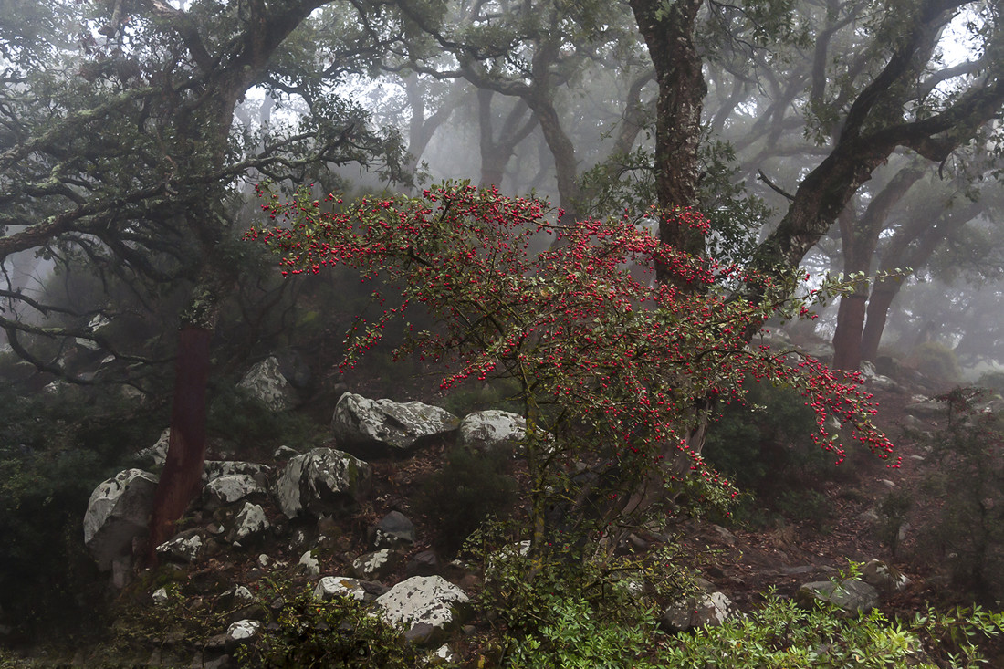 JOSE LUIS GARCIA - JOSE LUIS GARCIA OTO&Ntilde;O 2