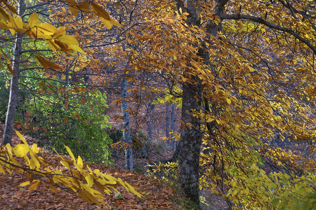 JOSE LUIS GARCIA - JOSE LUIS GARCIA OTO&Ntilde;O 3