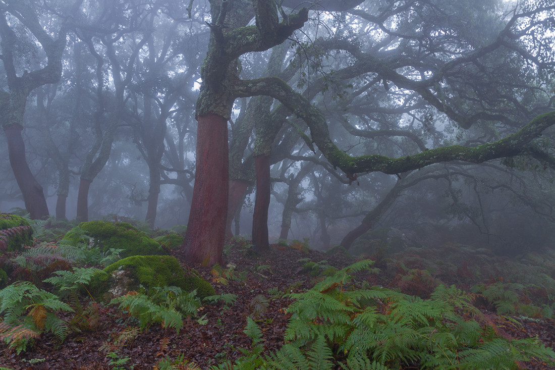 Juan Manuel Chac&oacute;n - #ConcursoOto&ntilde;o3