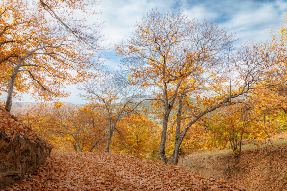 Manuel Torres Lima - ConcursoNovOto&ntilde;o_ManuelTorres (1 de 3)