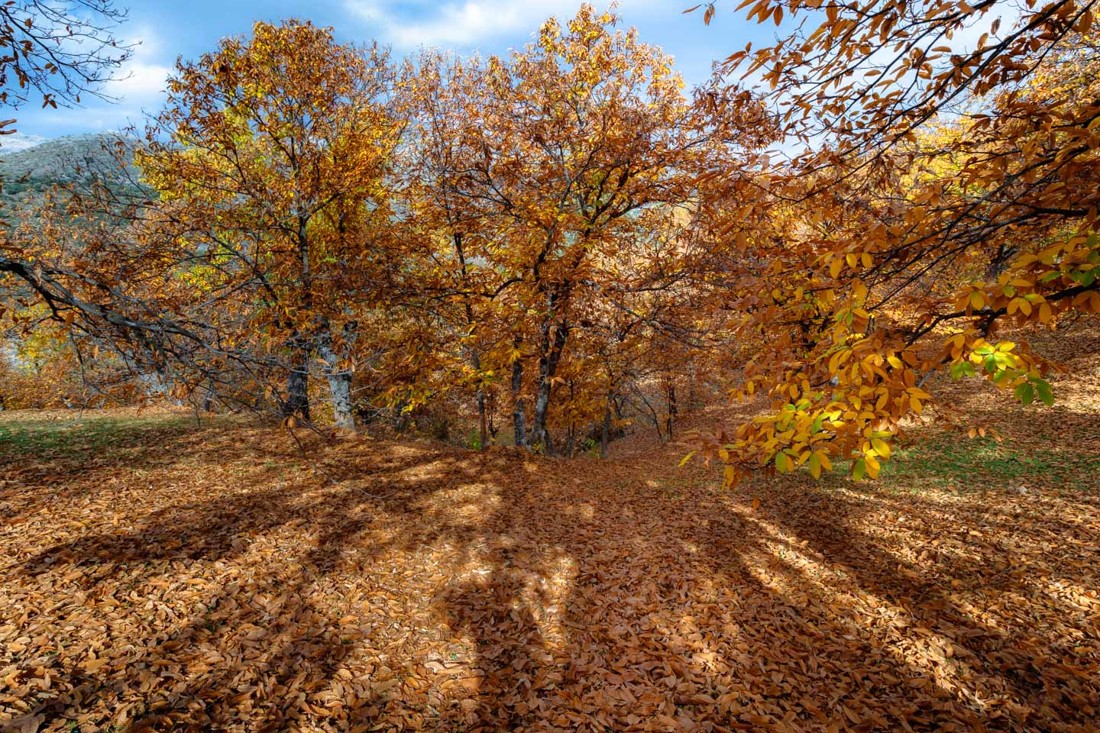 Manuel Torres Lima - ConcursoNovOto&ntilde;o_ManuelTorres (2 de 3)
