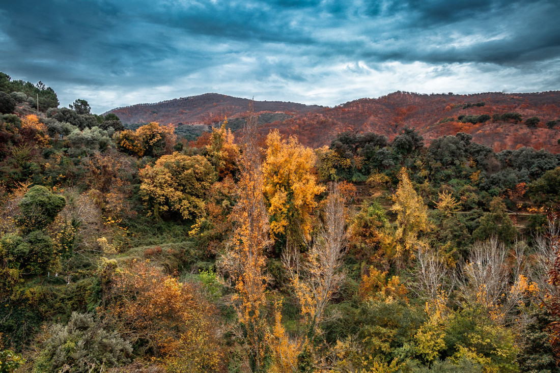 Manuel Torres Lima - ConcursoNovOto&ntilde;o_ManuelTorres (3 de 3)