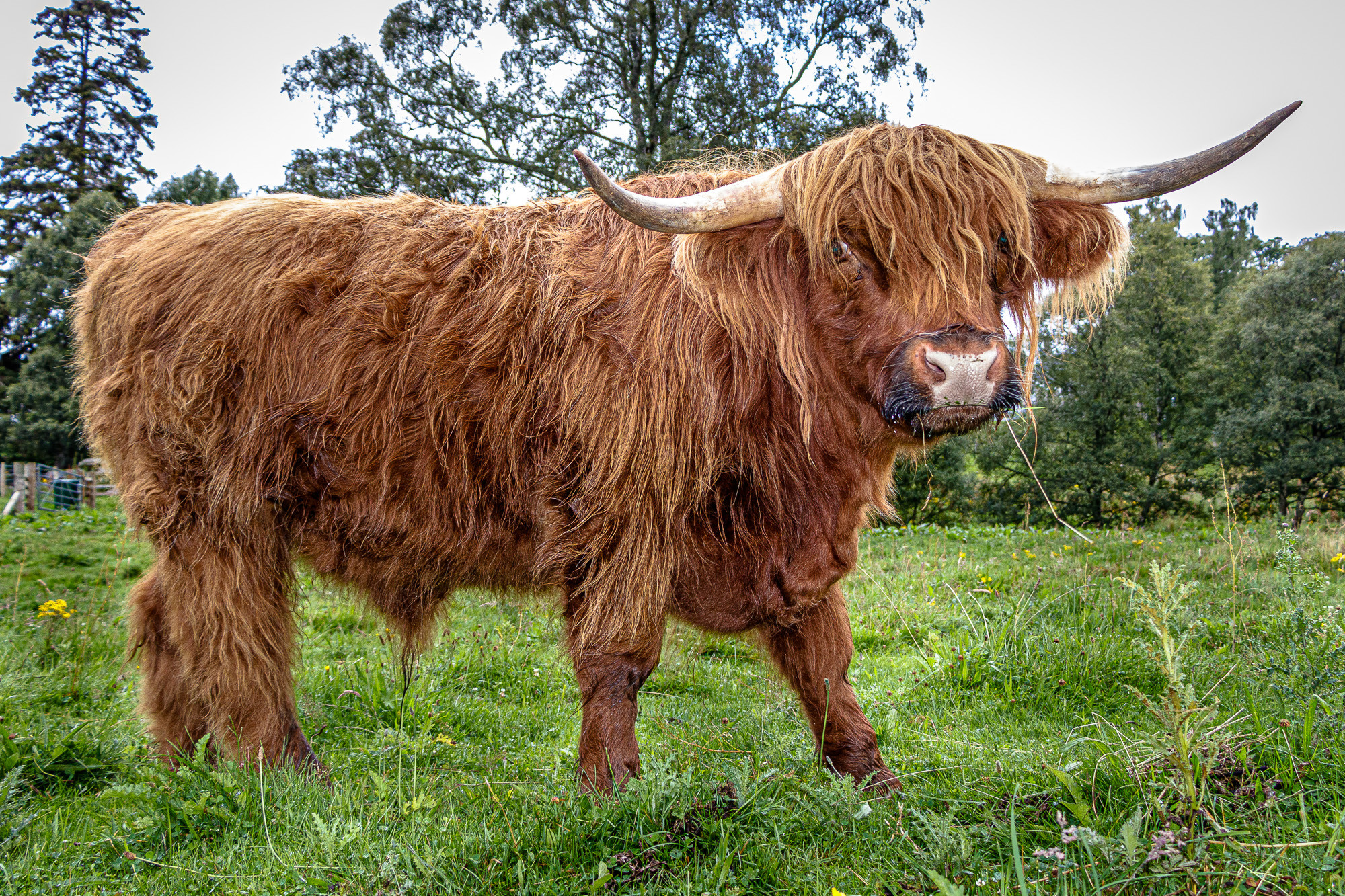 Hand Towers - MAMIFEROS AGOSTO MANUEL TORRES 01