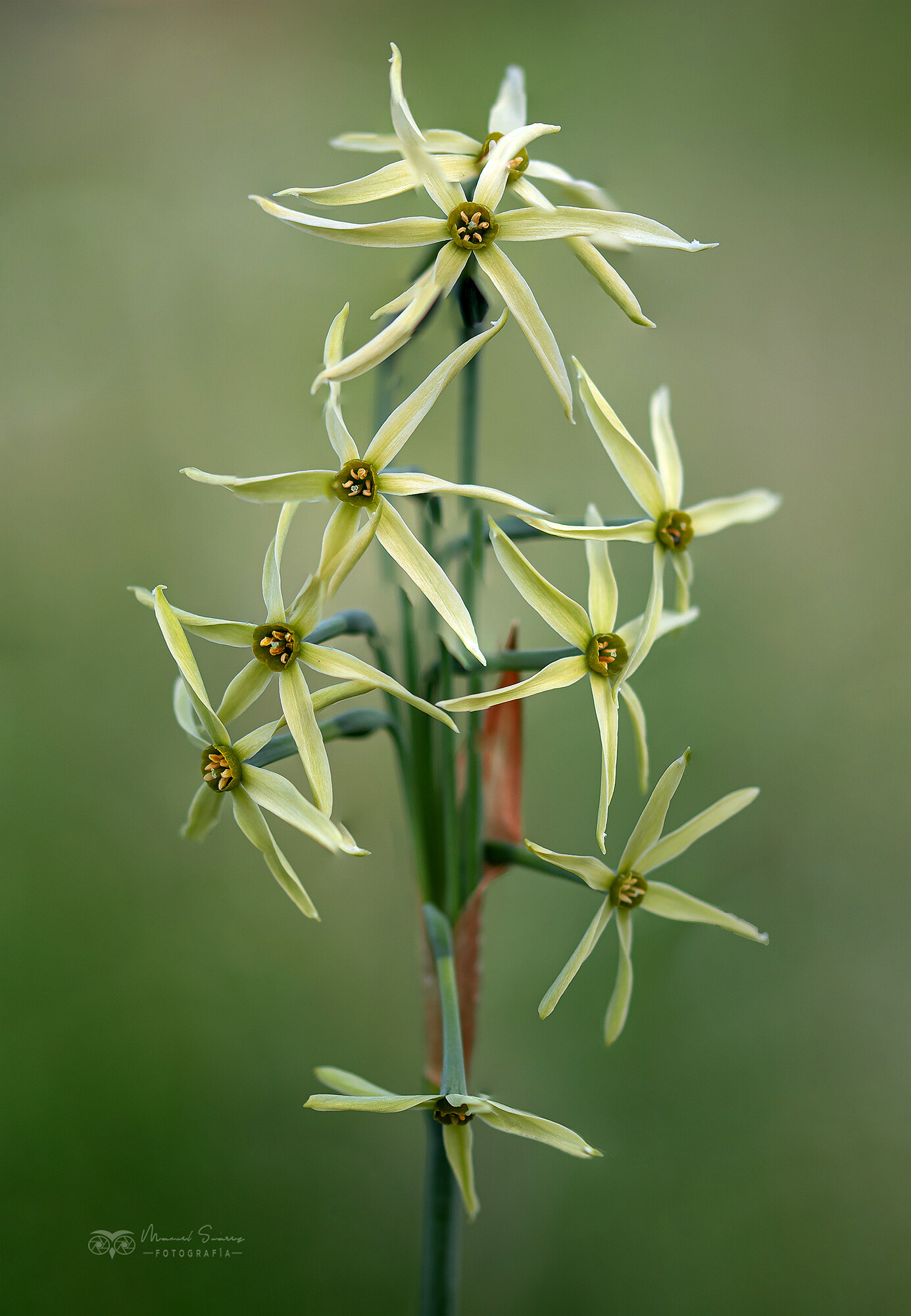 Panorama_sin_título-1