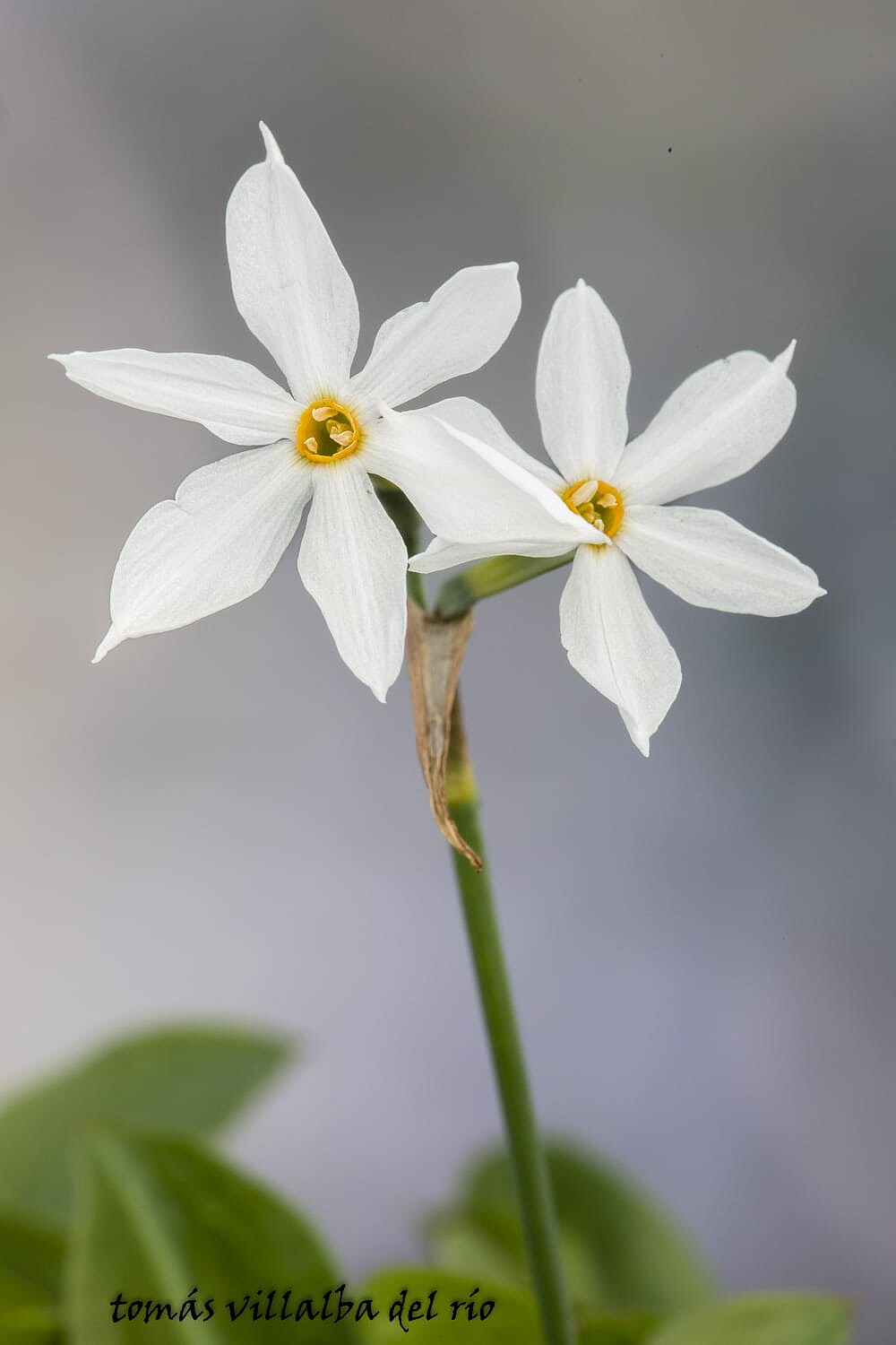 WhatsApp Image 2023-11-12 at 00.14.21 (1)