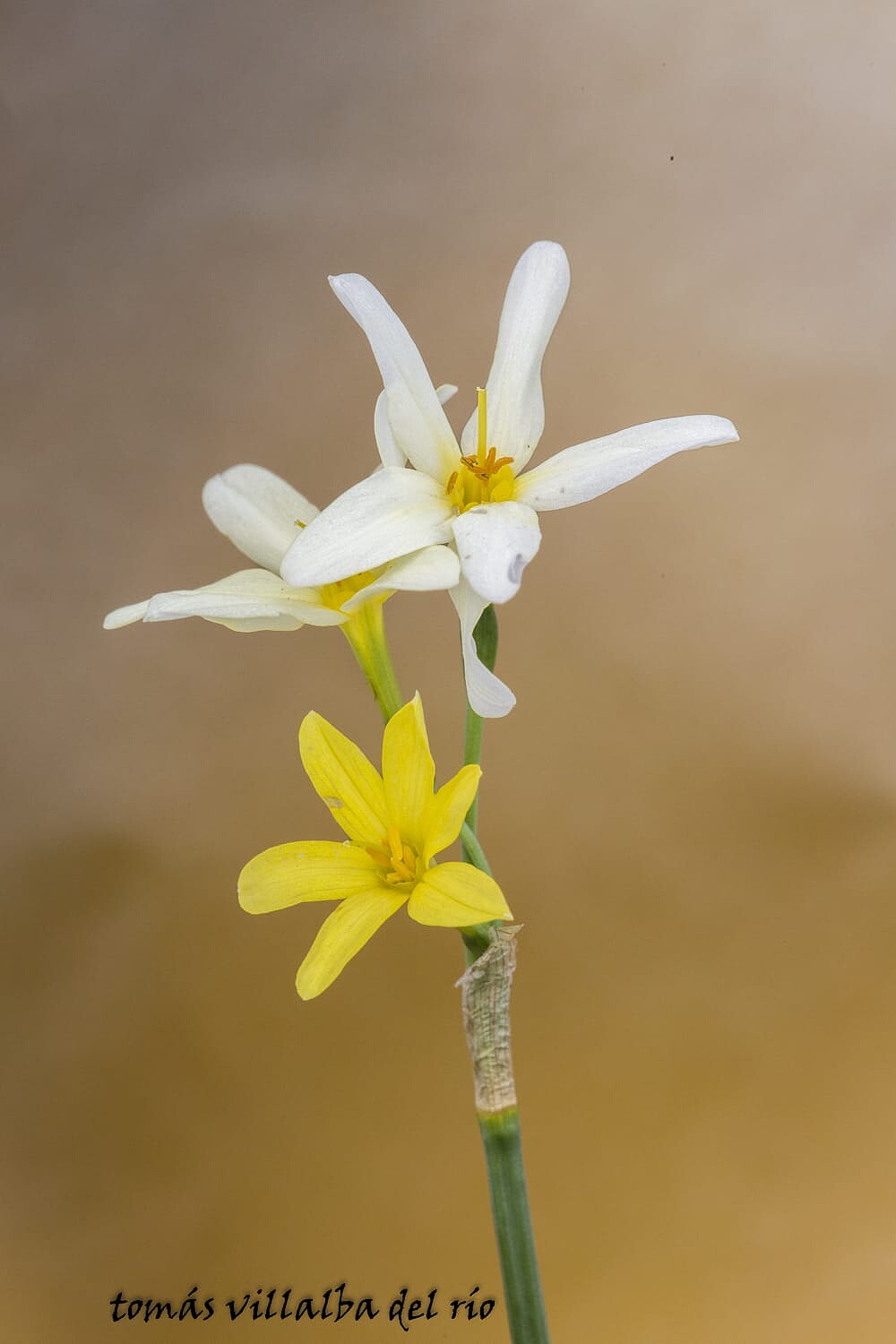 WhatsApp Image 2023-11-12 at 00.14.21