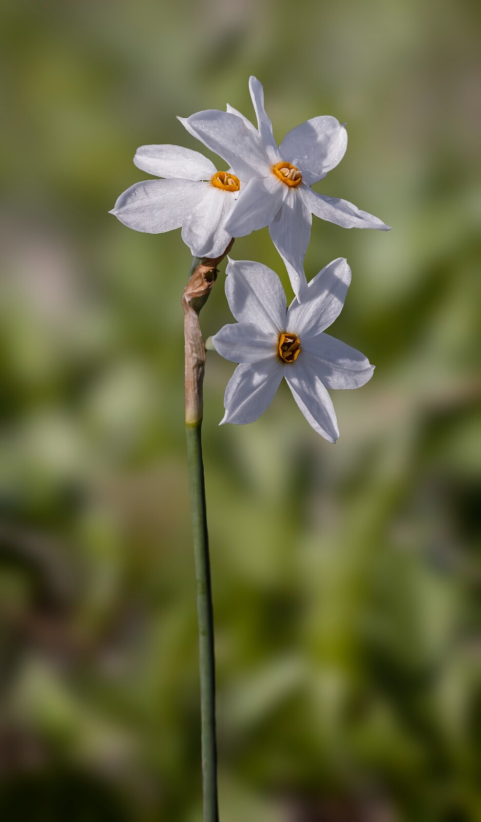 WhatsApp Image 2023-11-12 at 22.22.12