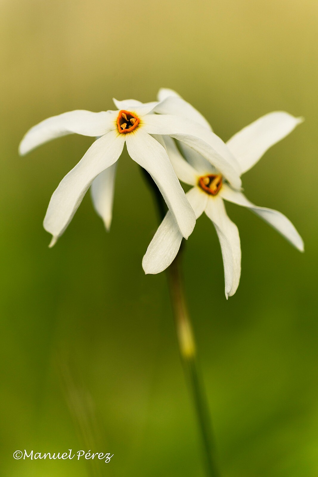 WhatsApp Image 2023-11-14 at 10.44.45 (1)