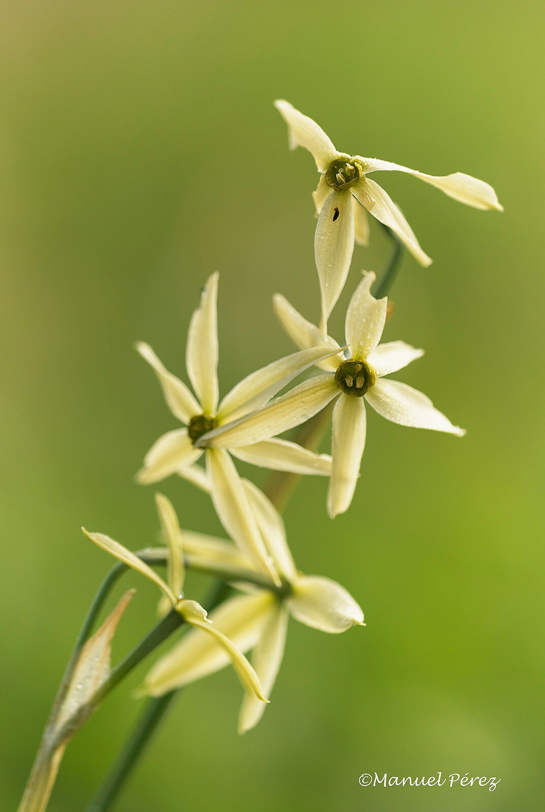 WhatsApp Image 2023-11-14 at 10.44.45