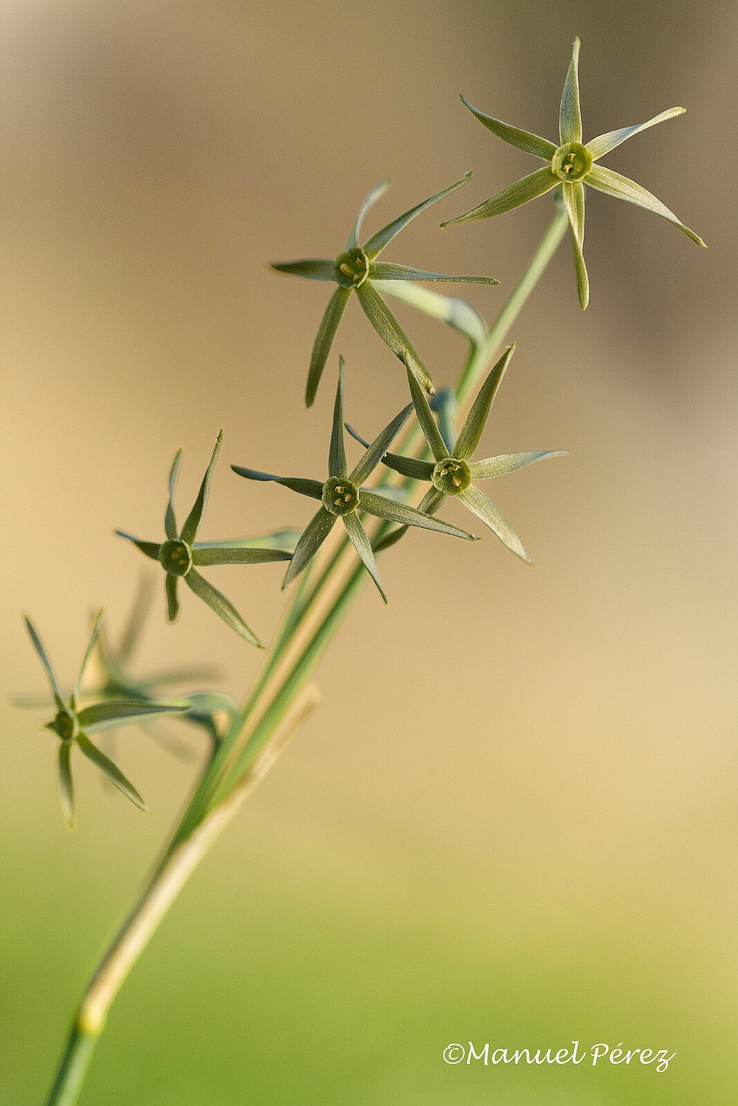 WhatsApp Image 2023-11-14 at 10.44.47