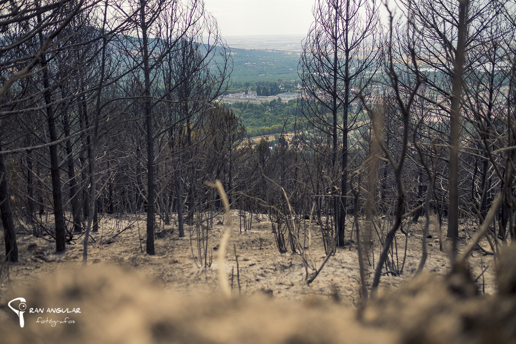 incendio en san ildefonso