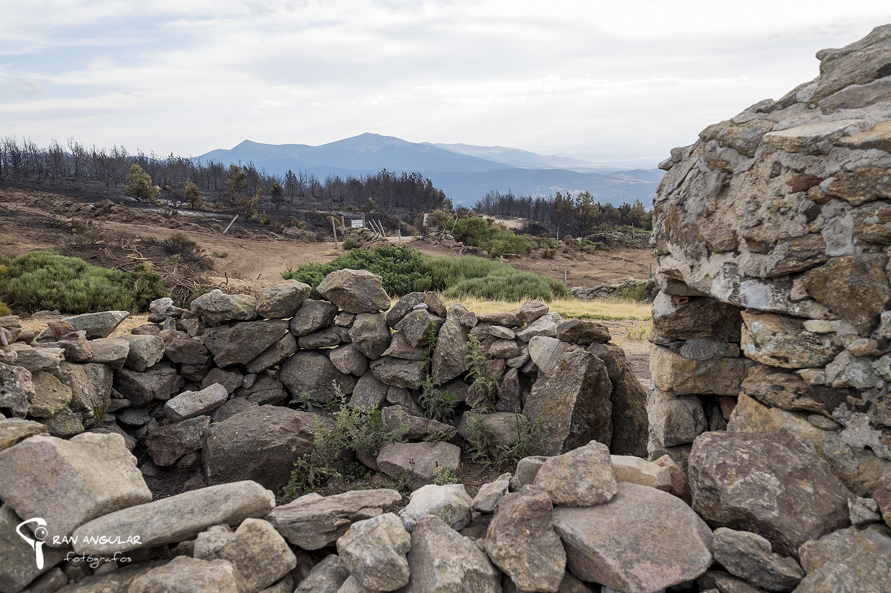 incendio en guadarrama
