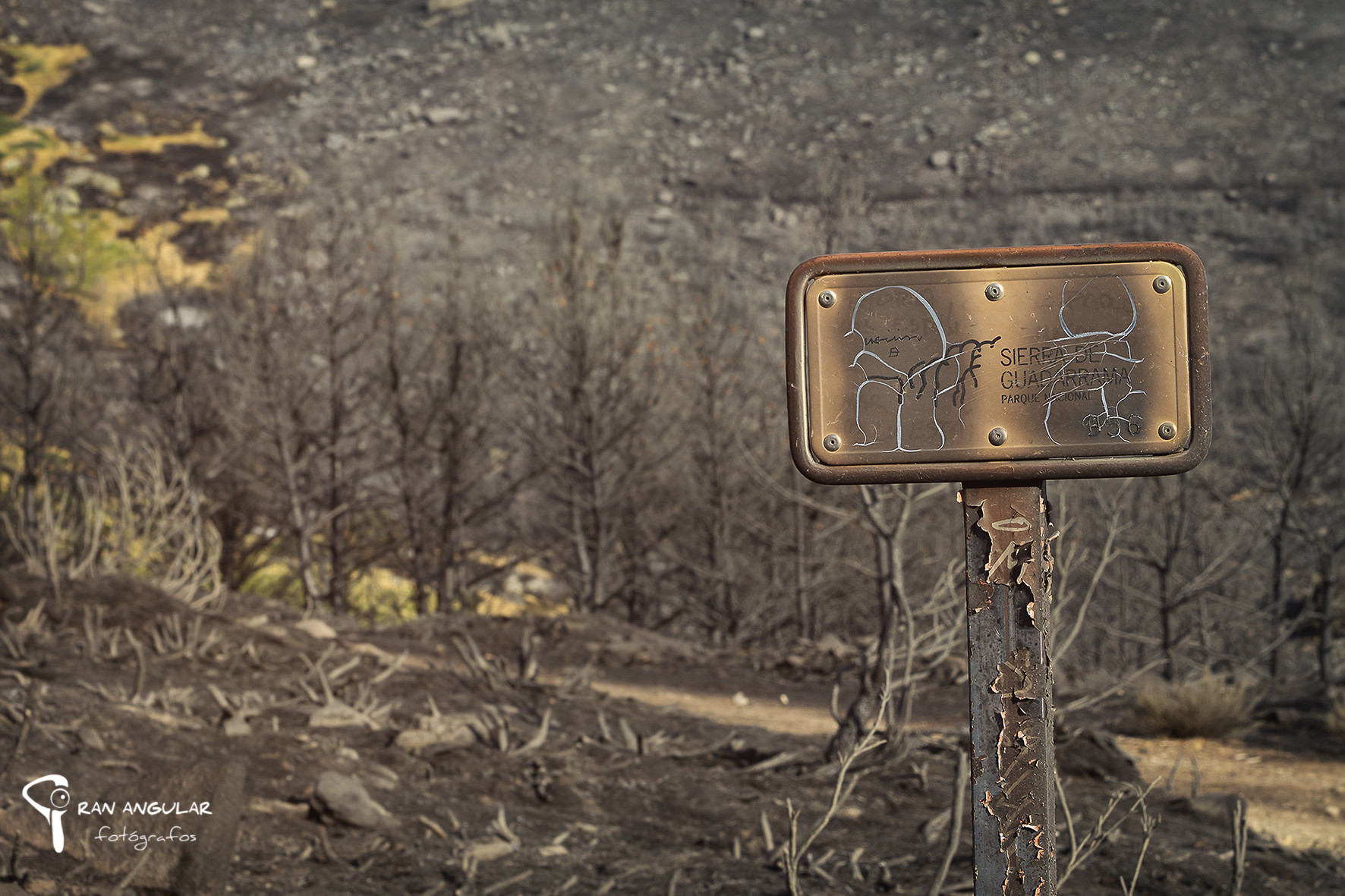 incendio en guadarrama