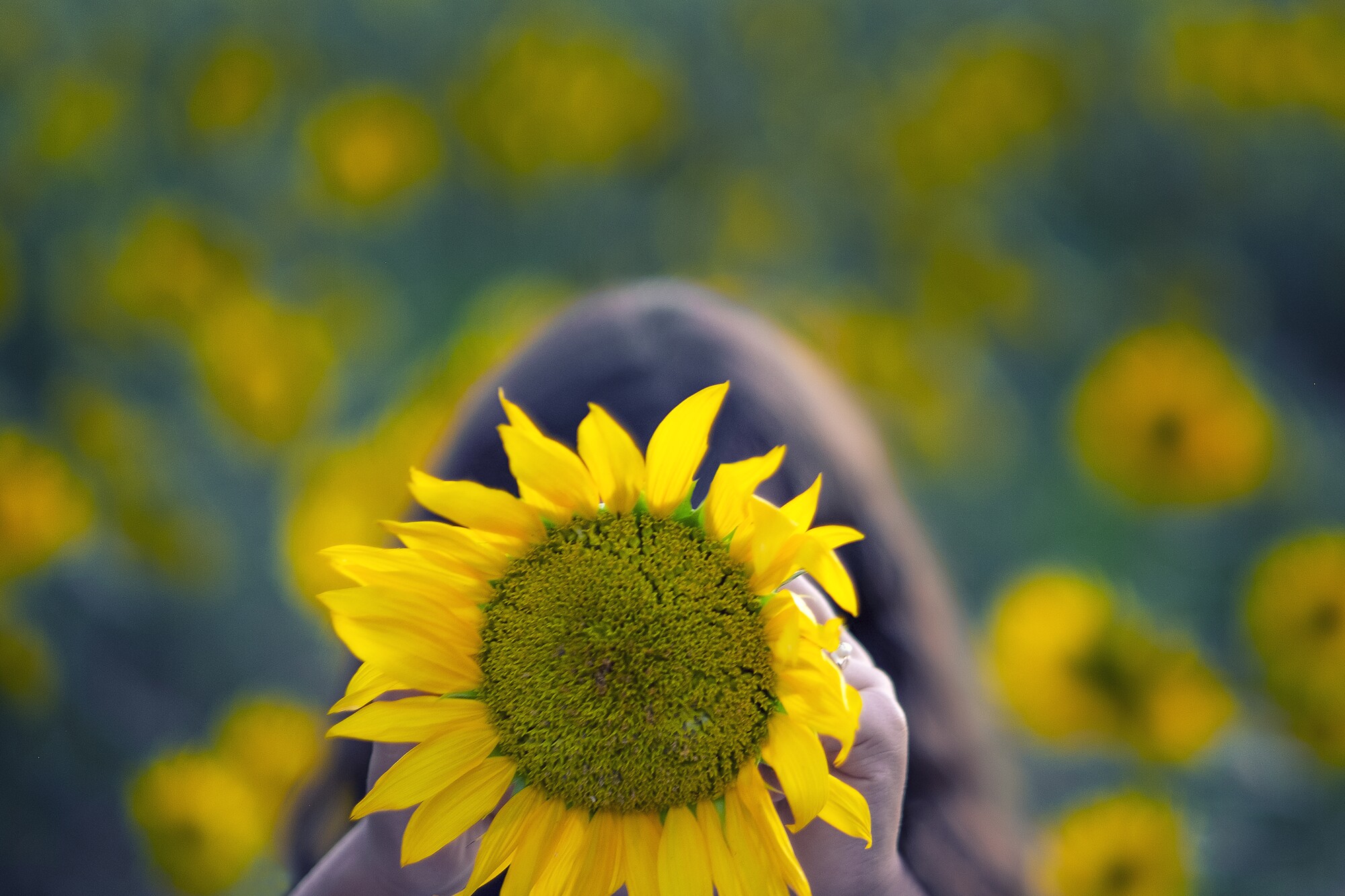 comuniones originales