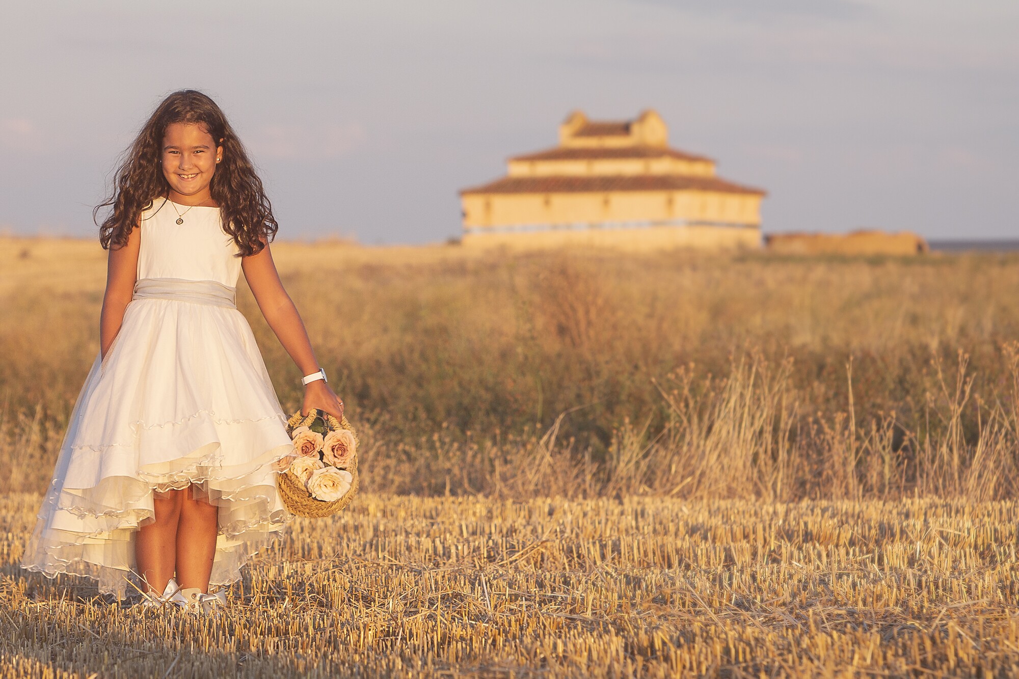 salvemos los palomares