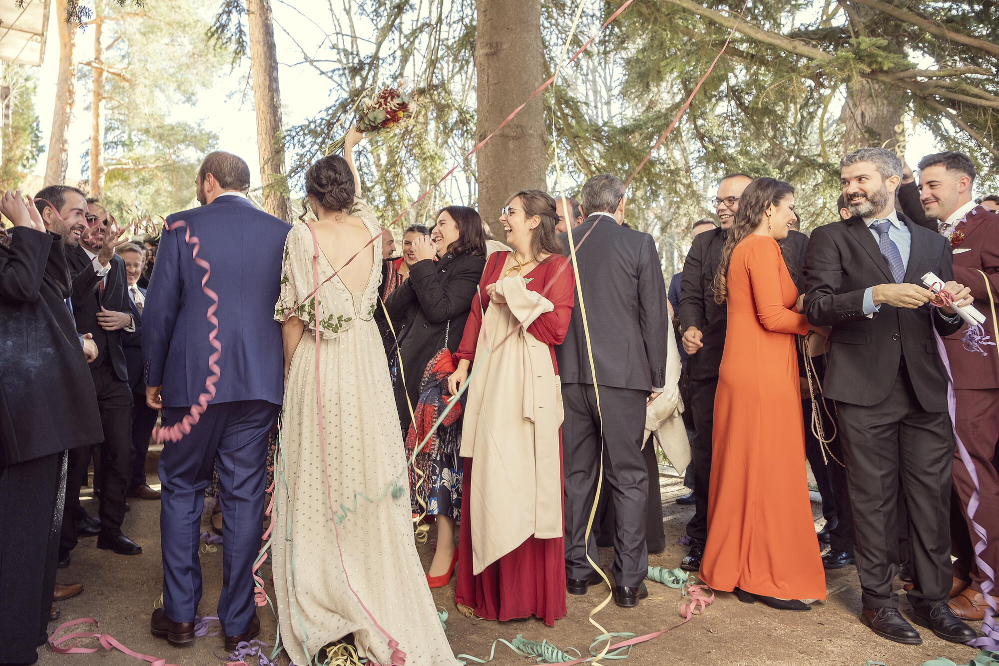 Boda_en_la_granja_de_san_ildefonso