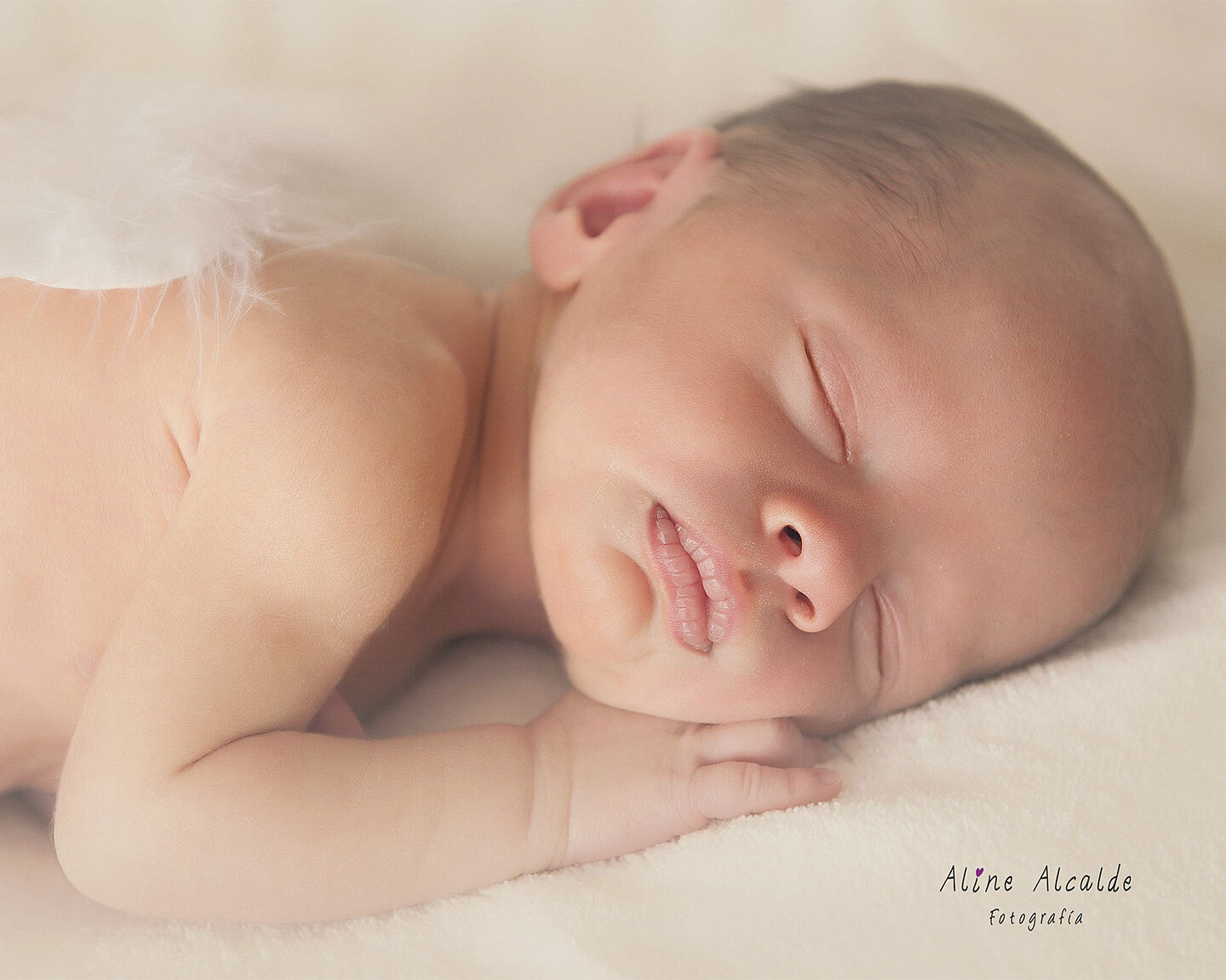 Aline Alcalde fotografía - alasdeangelbebe-ts20250916082239823571.jpg