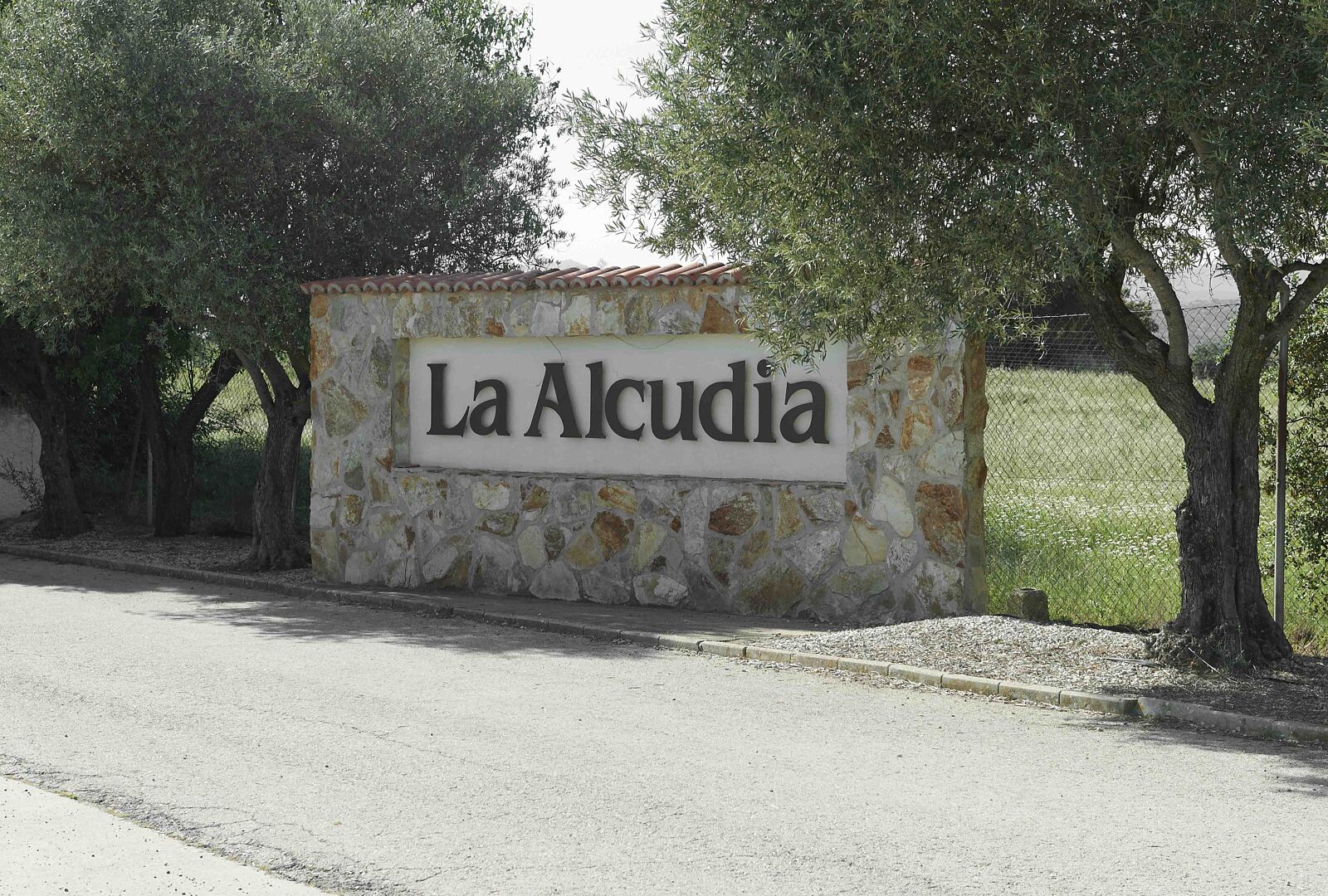 Llegada invitados