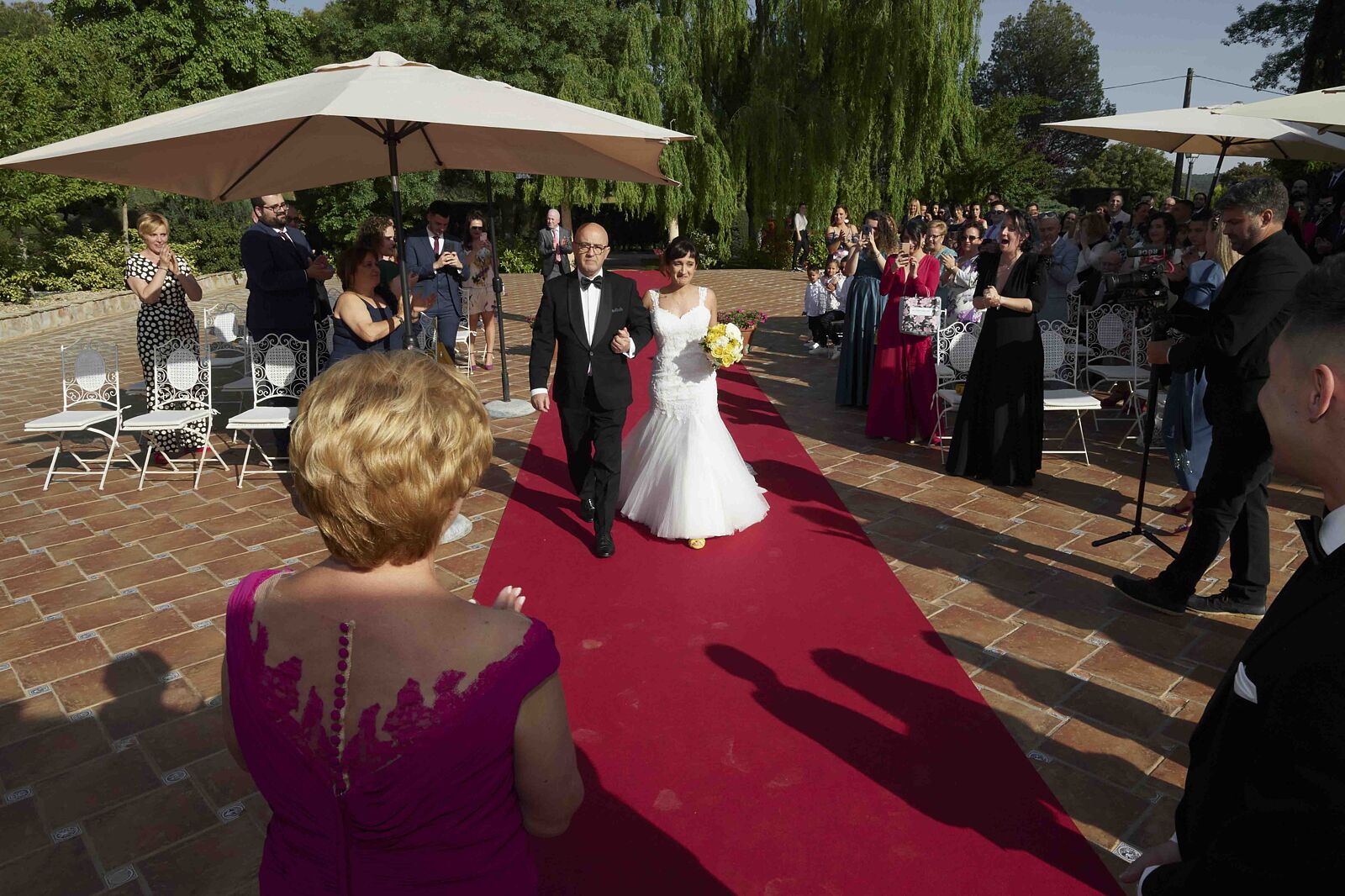 Aline Alcalde fotografía - fotografo-boda-civil-la-alcudia-50-ts20260408123153714610.jpg