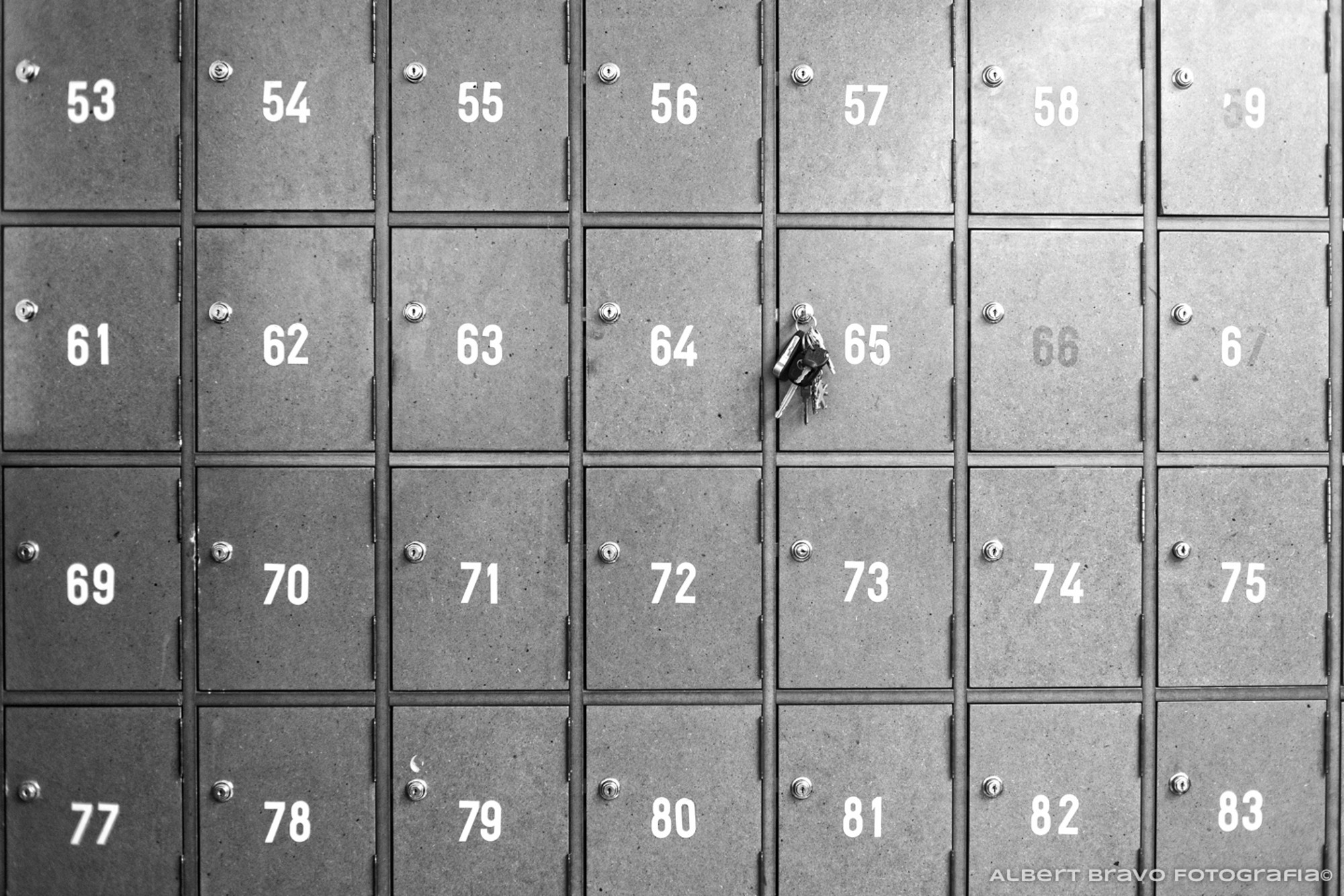 AlbertBravoFotografia©2015--8