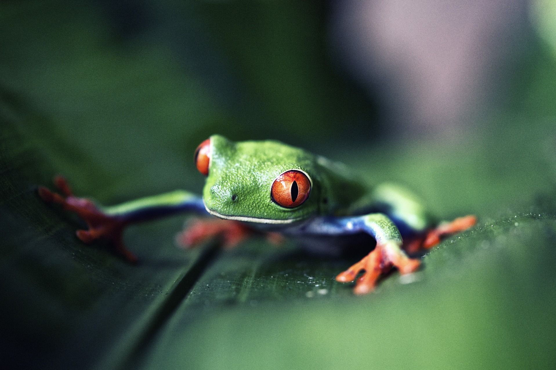Arizona Demo - 12.jpg