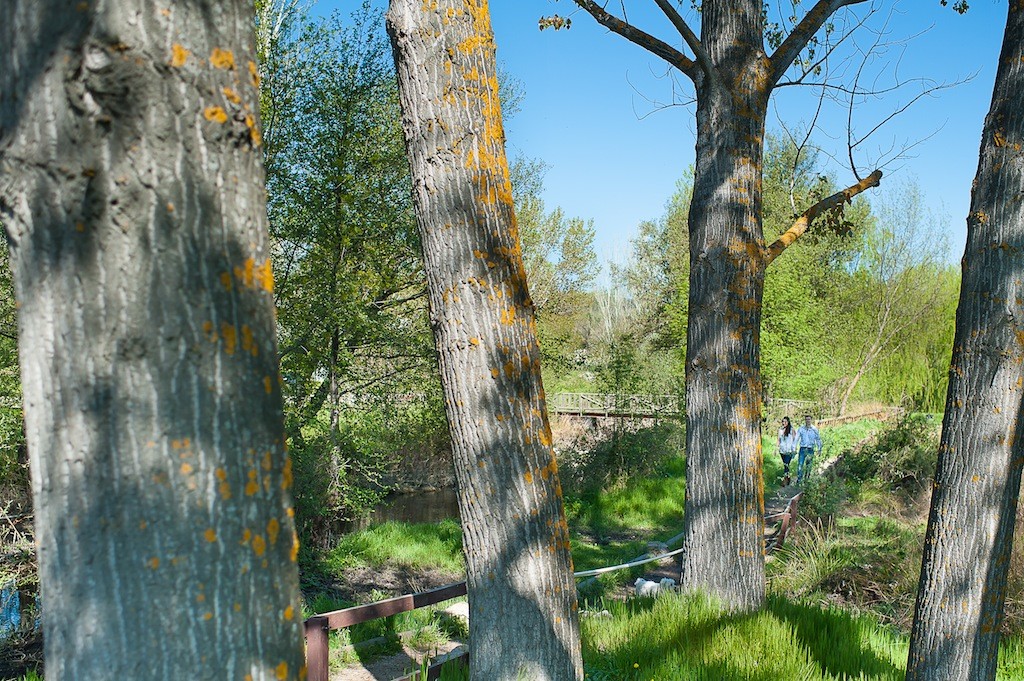 04 9555LUC_3558_www.garridofotografos.com