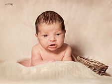 Adan27_15x20