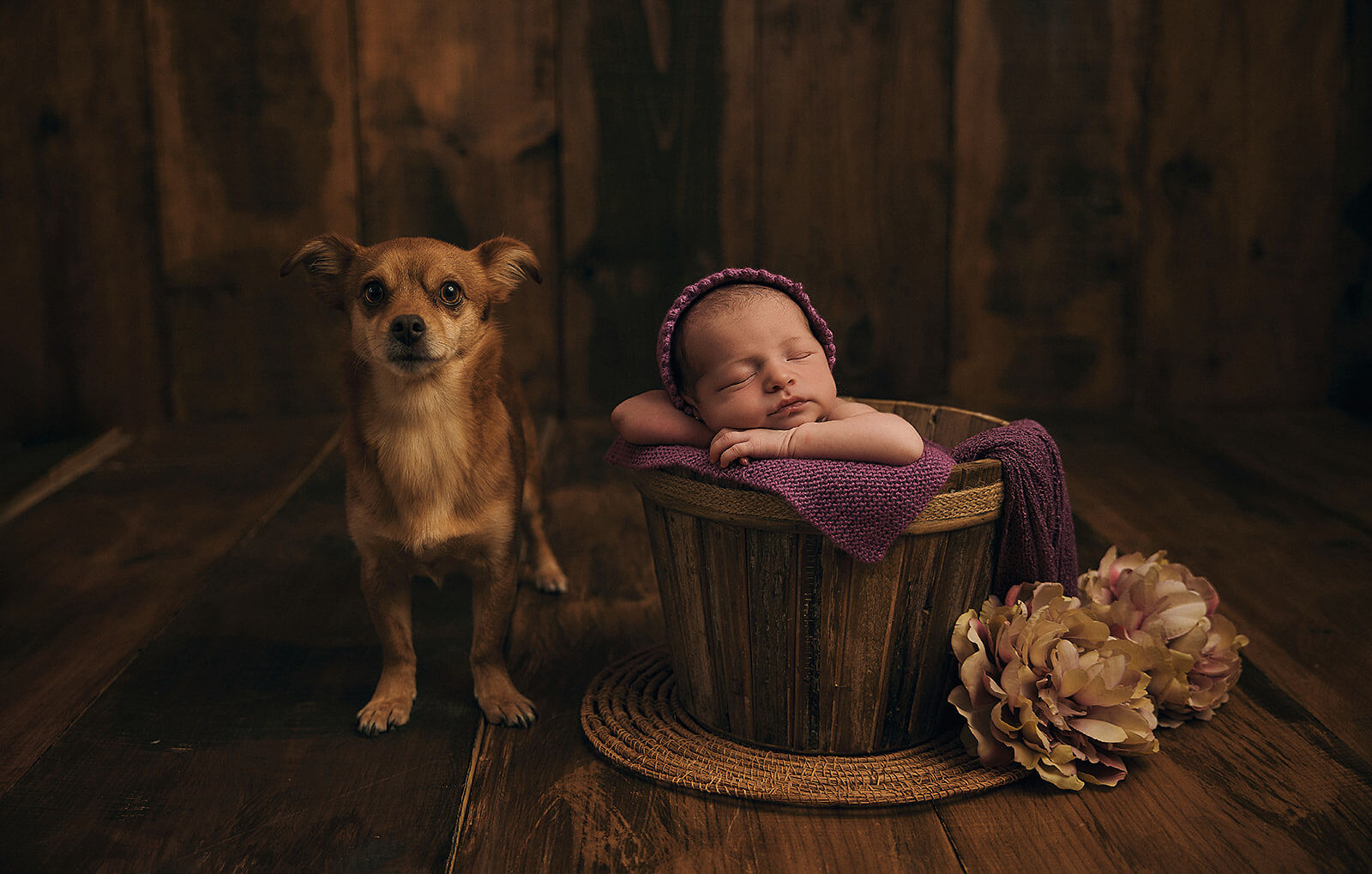 I Morales Photografias - newborn-maria-32_websize-ts20250715111254949907.jpg