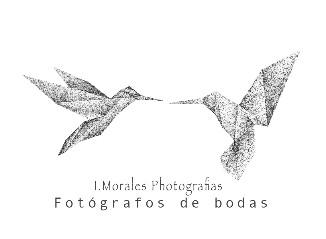 I Morales Photografias - logo-web-pajaros-ts20250714045141131985.png