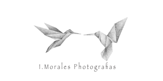 I Morales Photografias