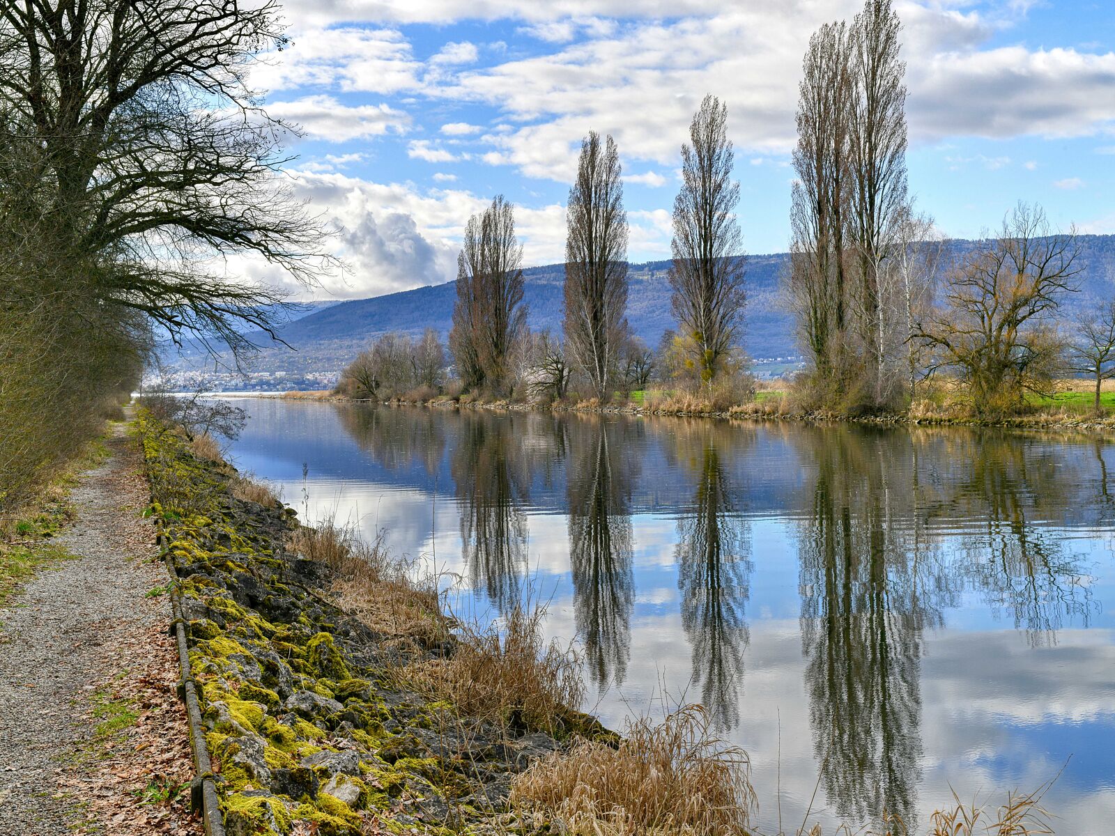 fotOiride - ralf-lungo-il-fiume-1-piccola-ts20250419135038793498.jpg