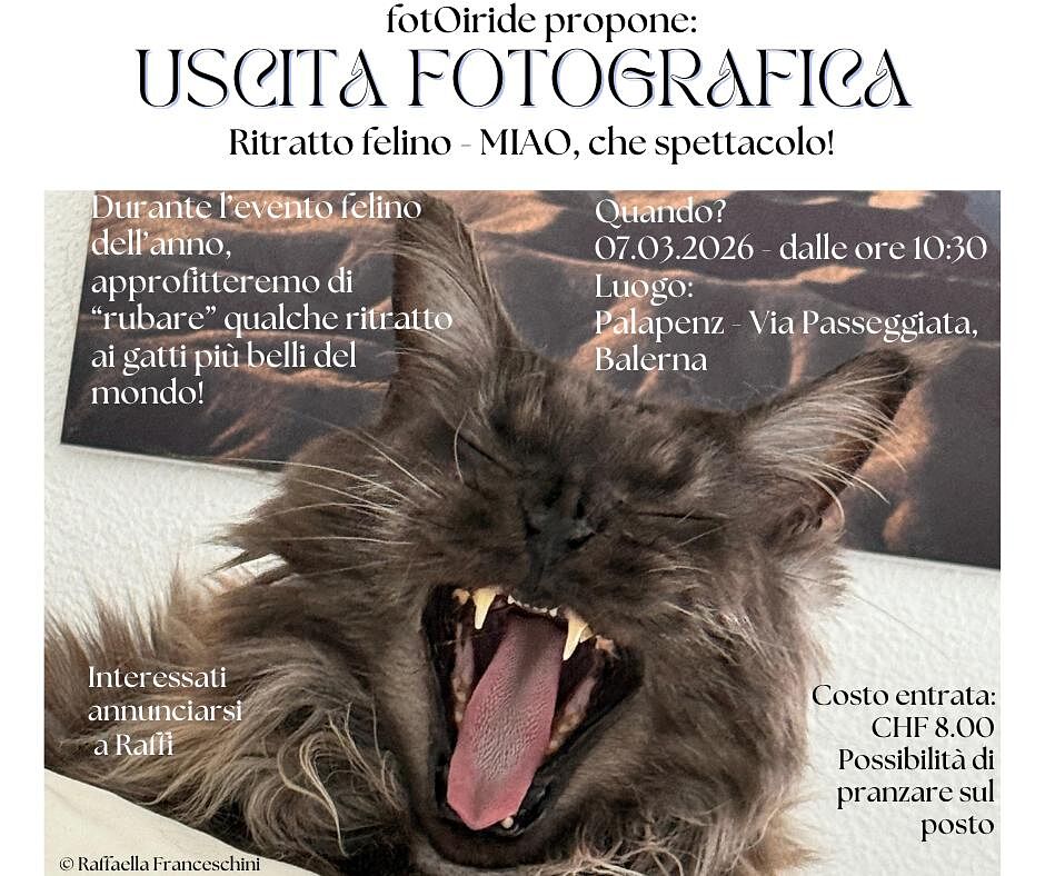 fotOiride - locandina-gatti-ts20260304131150466883.jpg