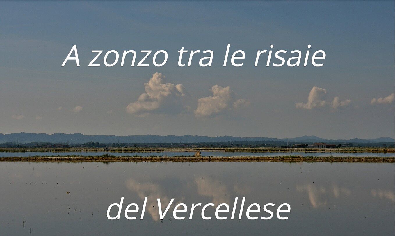 fotOiride - copertina-risaie-diana-ts20260524172229945937.jpg