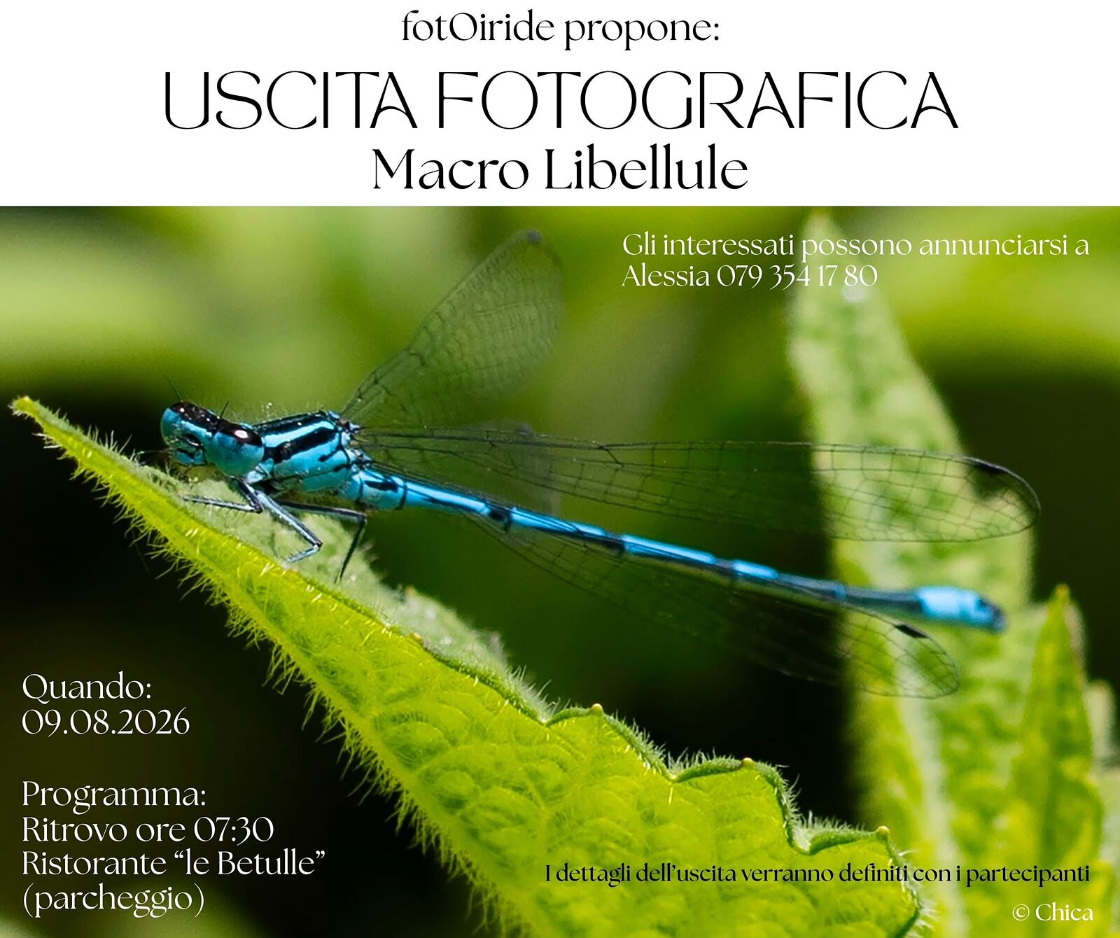 fotOiride - locandina-macro-libellule-ts20260811071047178573.jpeg