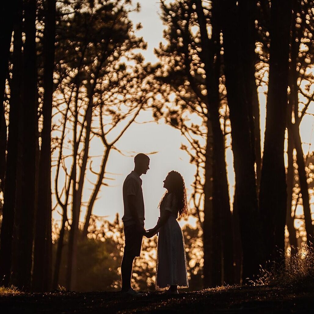 Nova Foto - 474-ts20251023112314507382.jpg