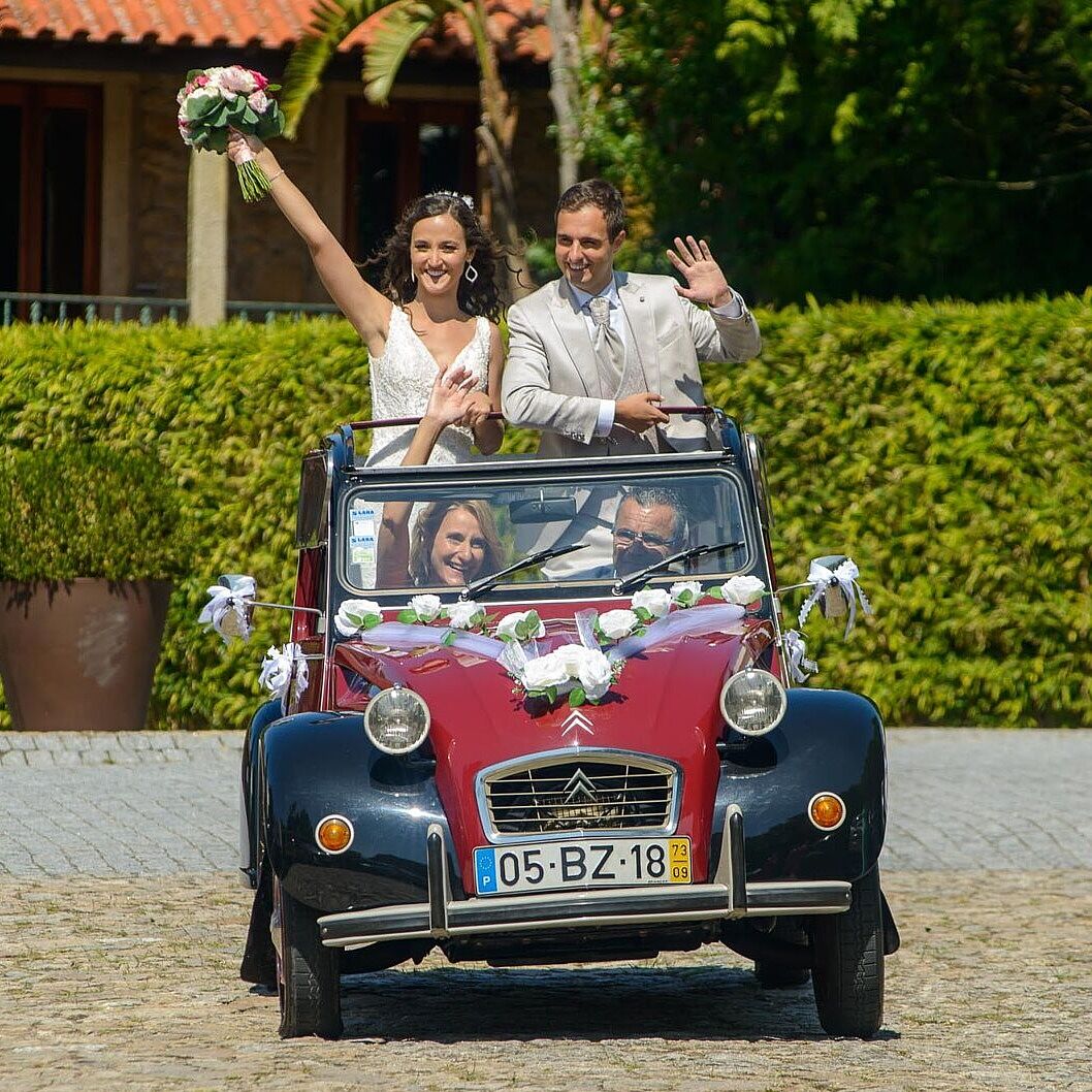 Nova Foto - 1064-ts20251117120817626236.jpg