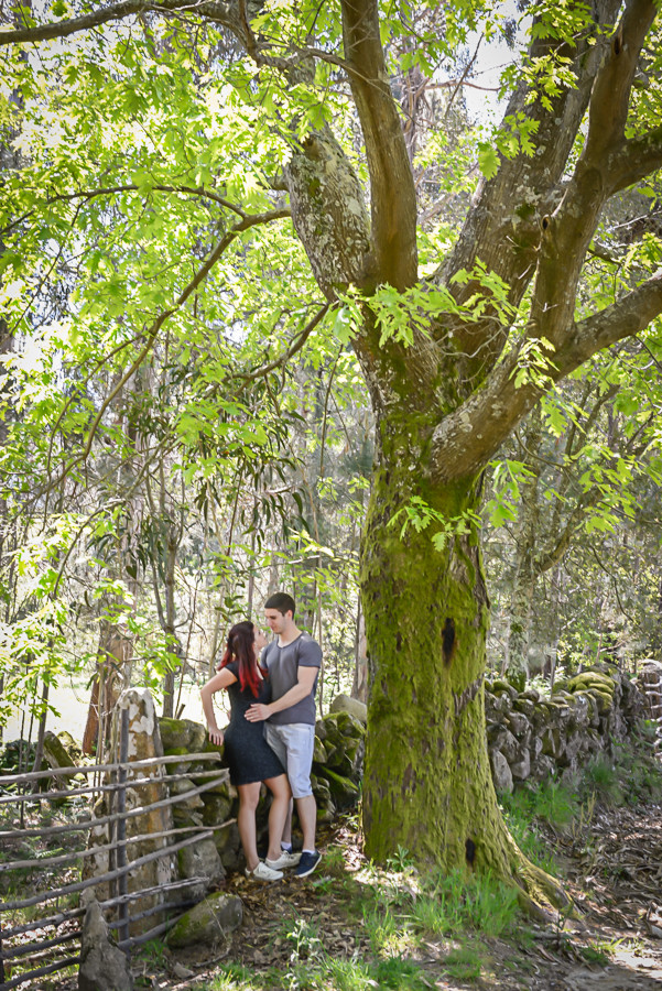 Casal de namorados a olharem um para o outro a beira de uma árvore