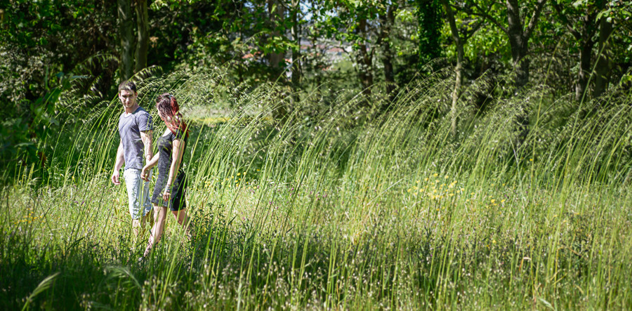 Casal de namorados a caminharem de mãos dadas no campo