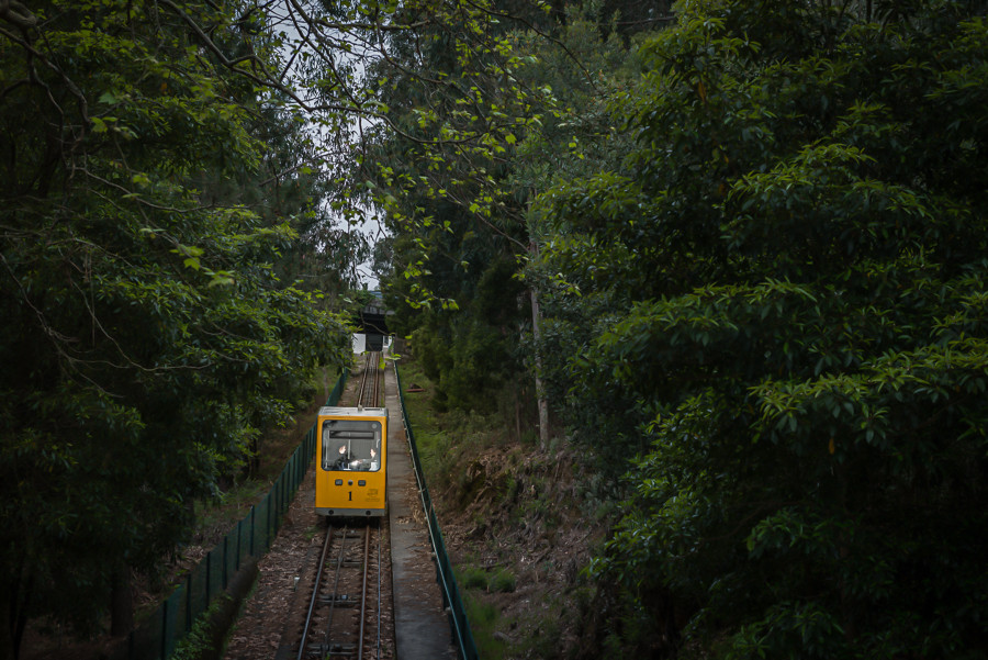 Sessão fotográfica de solteiros Carla e Frederic img240