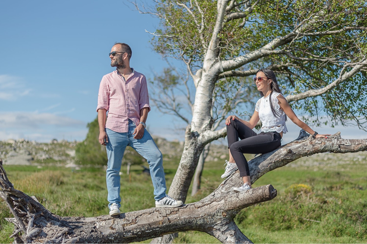 Soraia e Ricardo sentados numa árvore