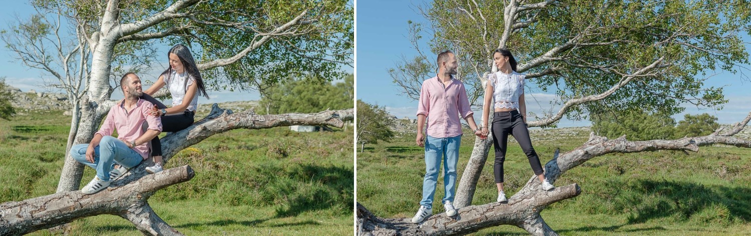 Soraia e Ricardo a árvore