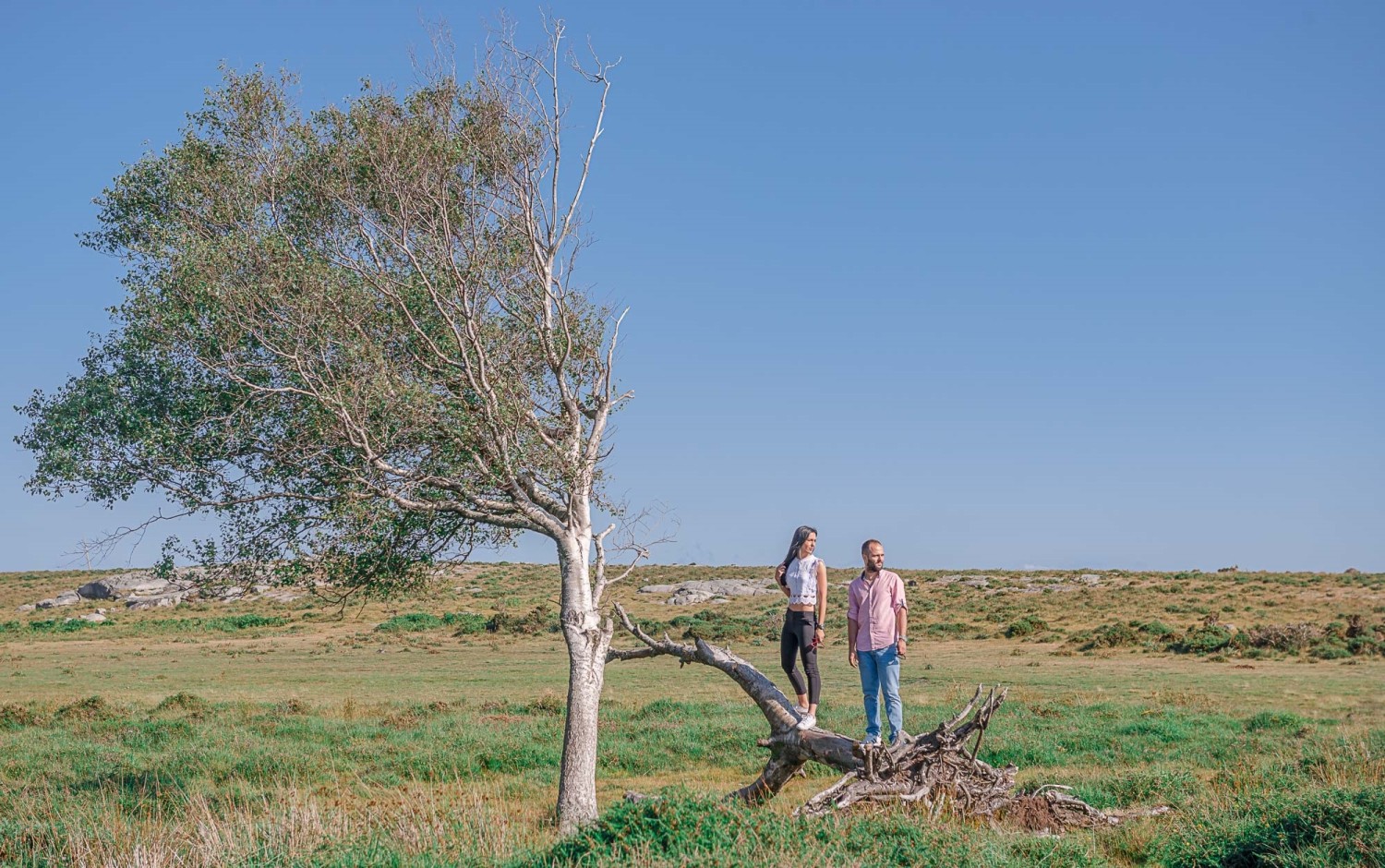 Soraia e Ricardo em cima da árvore