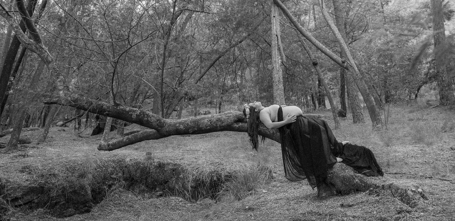 Grávida deitada em cima de um ramo de árvore com as mãos na barriga