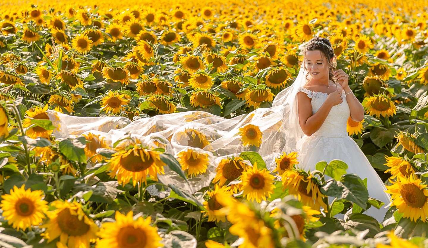 Pós Casamento :: Noiva no meio dos girassóis